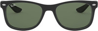 Ray-Ban Spectacle  Sunglasses(For Men & Women, Green)