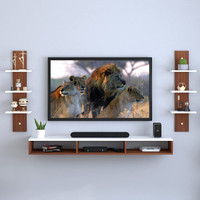 REDWUD TV Unit/ TV