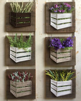 SHIVAKARI PLANTED S