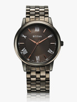Titan Karishma Flipkart SMU Analog Watch  - For Men