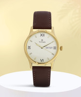 Titan  15802490YL05 Watch