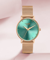 SONATA Poze Green Dail Green Strap Analog Watch  - For Women