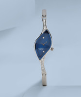 Titan NH9710SM01E Raga abosorbant Watch
