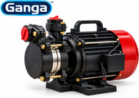 Ganga pump Heavy duty 0.5 HP Centrifugal Water Pump(0.5 hp)