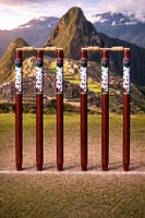 AMN SPORTS 6 Wooden Stumps 4 Baills (MRF Best Quality Stumps)(Brown)