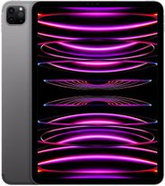 Apple 2022 iPad Pro (4th Gen) 1 TB ROM 11.0 inch with Wi-Fi+5G Apple