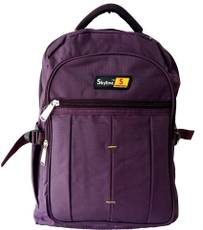Skyline 504 25 L Backpack Image