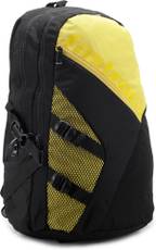 Fastrack Backpack