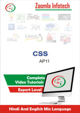 Zoomla Infotech CSS-AP11/2016