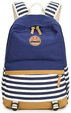 Bonmaro Stripes Navy Blue 25 L Backpack(Blue)
