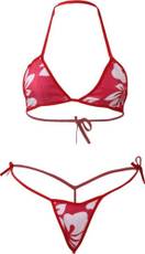 Lingerie Set Image