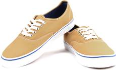 Men Sneakers