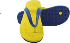 Guardian Flip Flops Image