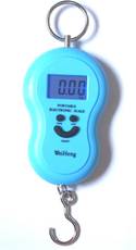 WeiHeng 50kg Portable Hook Weighing Scale Image