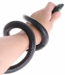 VEDANSHI Realistic Rubber Snake Toy Round Cobra - Red - Realistic Rubber  Snake Toy Round Cobra - Red . Buy Rubber Snake toys in India. shop for  VEDANSHI products in India.