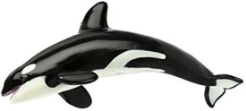 safari ltd killer whale