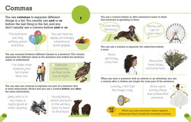 Visual Guide to Grammar and Punctuation