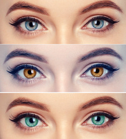 Contact Lens Buy Contact Lens Online At Best Prices In