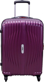 vip curtis 4w exp strolly 81