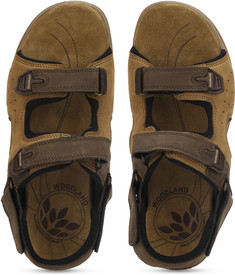 woodland ogd 0350107