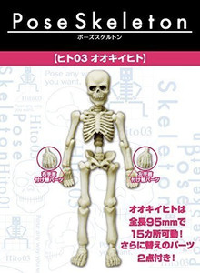 Re Ment Pose Skeleton Humans 3 Ookiihito Best Price In India Re Ment Pose Skeleton Humans 3 Ookiihito Compare Price List From Re Ment Action Figures 3449526 Buyhatke In the 1850s, calcutta medical it lists a wide assortment of bones at wholesale prices, noting that they're for sale in india only. indian skeletons are somehow making it out of the. compare buyhatke com