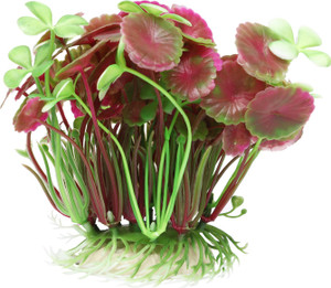 Jainsons Combo Aquarium Decoration Items Laterite Planted