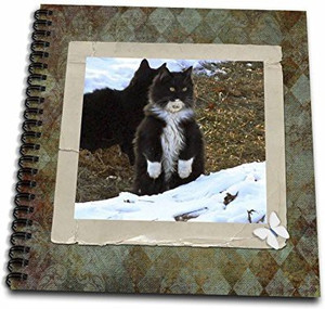 3dRose db_41378_1 Prague in Watercolor Drawing Book 8 by 8-Inch 3dRose db_41378_1 Prague in Watercolor Drawing Book 8 by 8-Inch