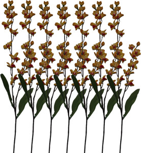 Pollination Orchid Flowers Yellow Orchids Artificial Flower Best Price In India Pollination Orchid Flowers Yellow Orchids Artificial Flower Compare Price List From Pollination Artificial Flowers 2851592 Buyhatke