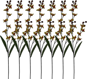 Pollination Orchid Flowers Yellow Orchids Artificial Flower Best Price In India Pollination Orchid Flowers Yellow Orchids Artificial Flower Compare Price List From Pollination Artificial Flowers 2851552 Buyhatke