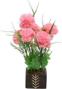 Random Wild Artificial Plant with Pot