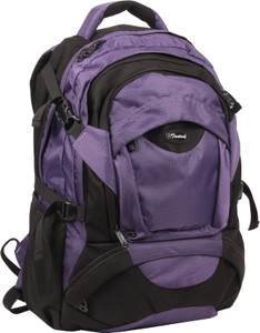 fantasy bag Atlas 25 L Large Laptop Backpack Purple Price in