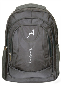 Attache Premium School / Laptop Bag (Grey) 30 L Backpack