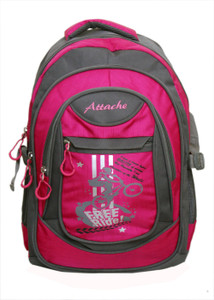 Attache Stylish School Bag (Pink & Grey) 30 L Backpack