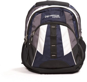 American Express VOLANUS 25 L Backpack BLUE Price in India