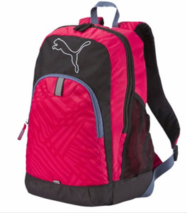 puma echo 25 l laptop backpack