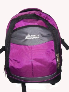 camel mountain school bags price