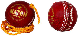 Priya Sports Practice Red Cricket Ball - Size: 5