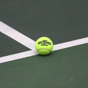artengo 800 tennis balls