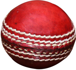Priya Sports 2825A Cricket Ball - Size: 5