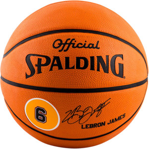 lebron james basketballs