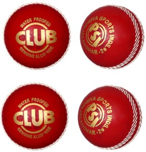 Priya Sports Red Rubber Cricket Ball -   Size: 5
