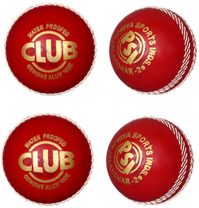 Priya Sports Red Rubber Cricket Ball - Size: 5