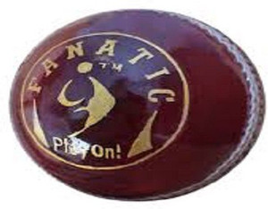 SM Fanatic Cricket Ball - Size: 2.5