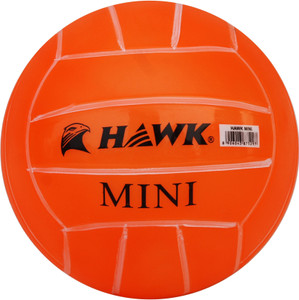 HAWK playball mini Volleyball - Size: 1