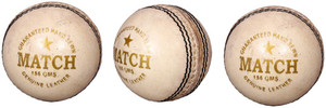 Priya Sports PCWHITE-3 Cricket Ball - Size: 5
