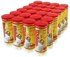 Wilson Hard,Wet,Grass Tennis Ball - Size: 5, Diameter: 2.5 cm
