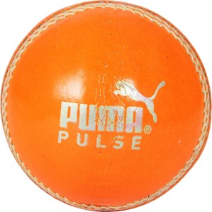Puma Turf Cricket Ball -   Size: 5