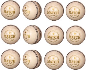 Priya Sports PCWHITE-12 Cricket Ball -   Size: 5