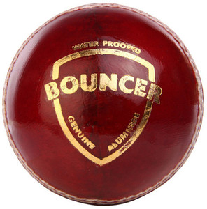 SG Bouncer Cricket Ball