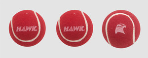 HAWK Practice,Pack Of 3 Cricket Ball - Size: Standard